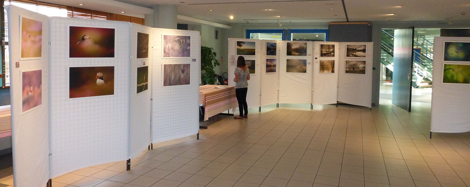 Exposition galerie Hôtel de Ville Villefontaine