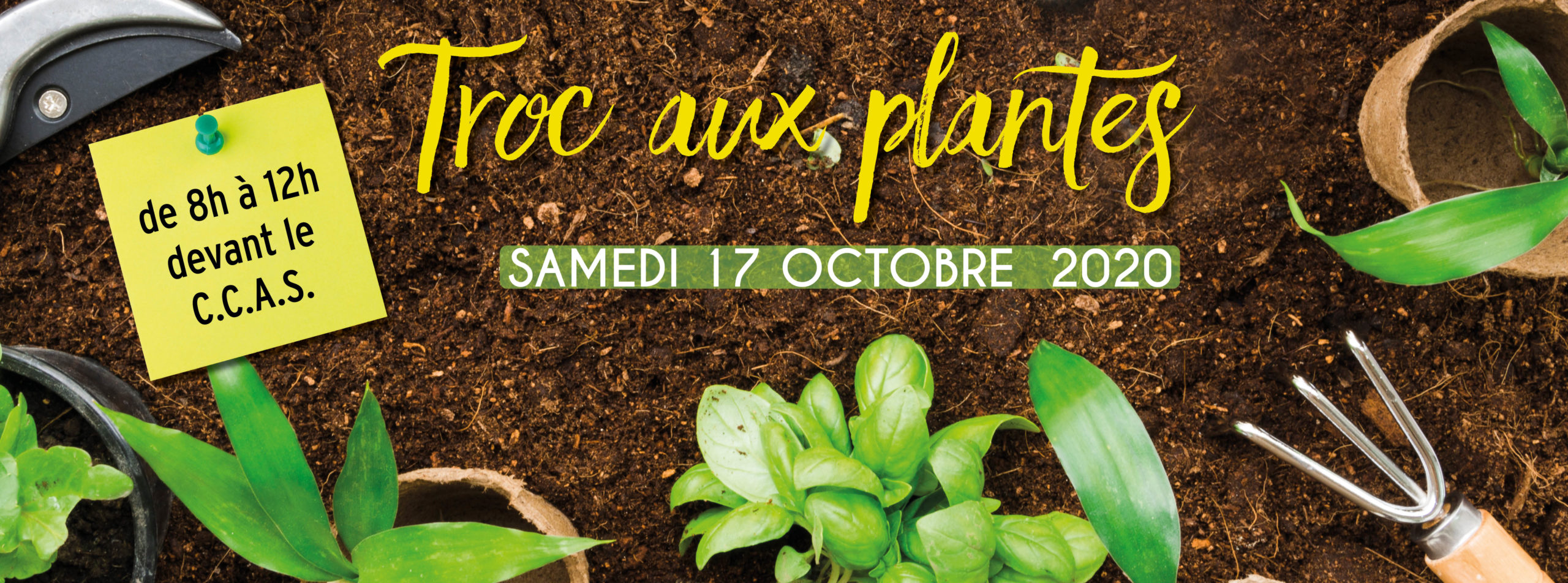Troc aux plantes automne 2020