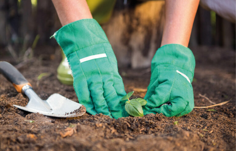 Lire la suite à propos de l’article Chantiers jeunes de printemps