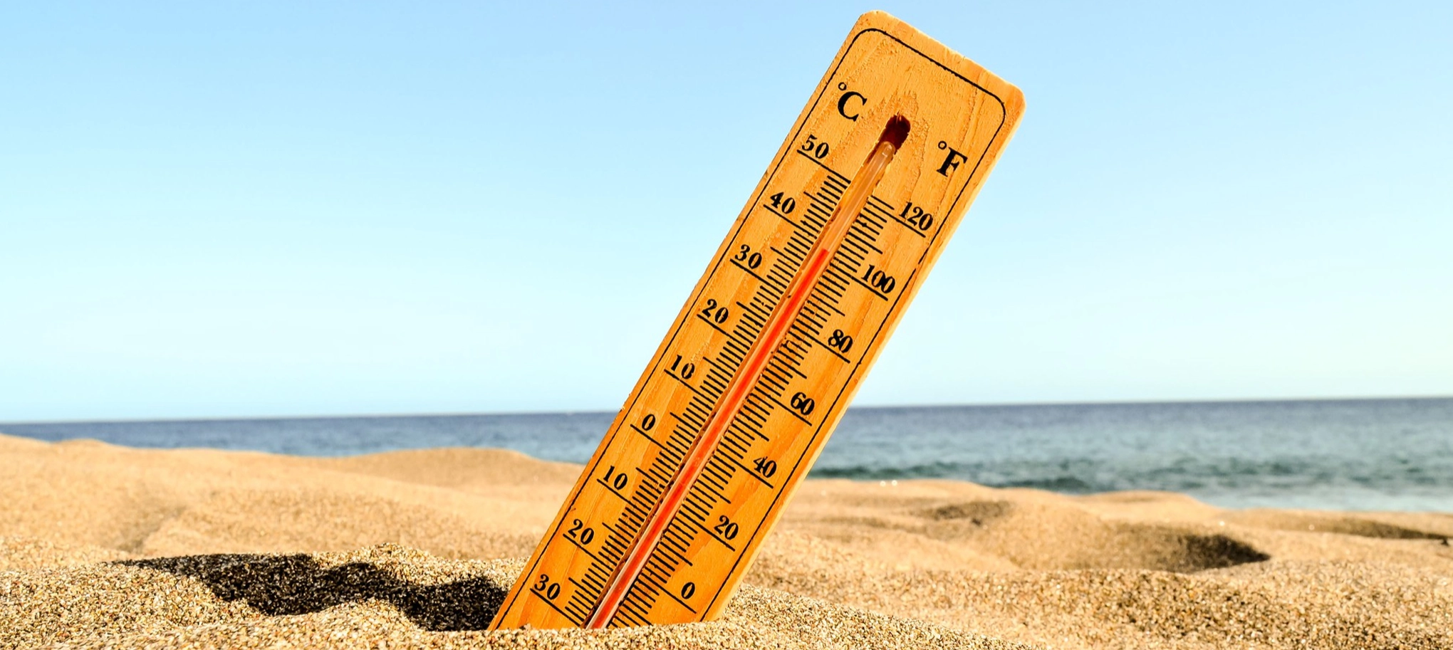 Lire la suite à propos de l’article Organisation des établissements scolaires face à la canicule