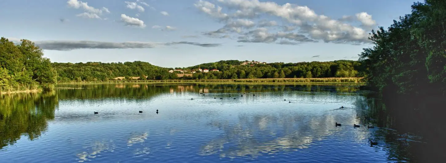 L'étang de Saint-Bonnet