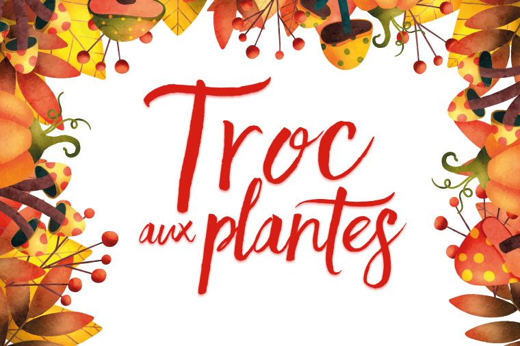 Lire la suite à propos de l’article Troc aux plantes de l’automne